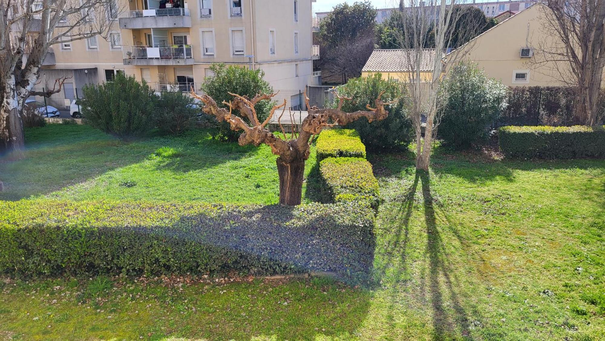 Les Tourterelles D'Avignon 2 Διαμέρισμα Εξωτερικό φωτογραφία